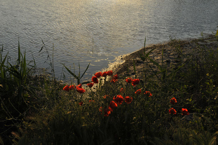 wasser.jpg